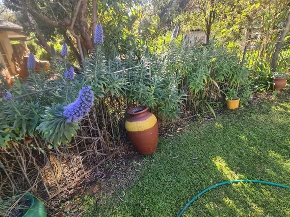 2 Bedroom Townhouse Complex