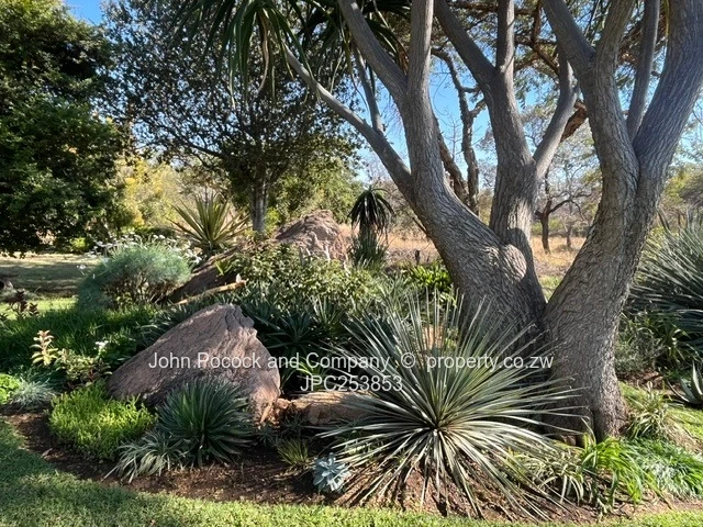 Burnside 2 acres of peace and tranquillity 