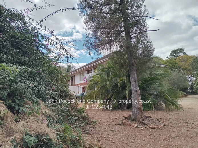 A  3-bedroom home with alot of potential in Morningside