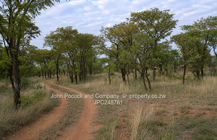 18.9 Acres in Fortunes Gate!