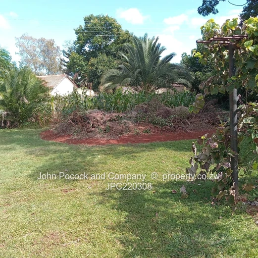 Charming 4 Bedroom Family Home in Morningside!