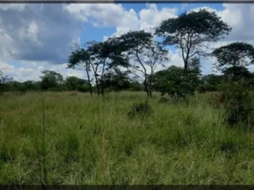 Land