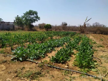 Farm & Agricultural Land