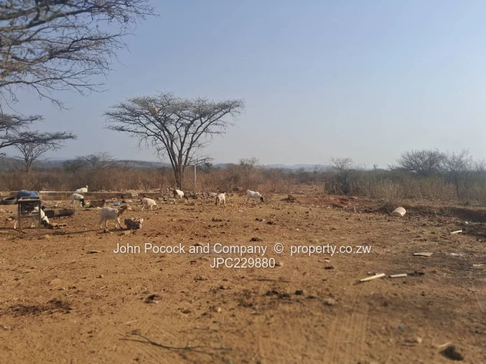 10 Hectares Plot/ Ranch