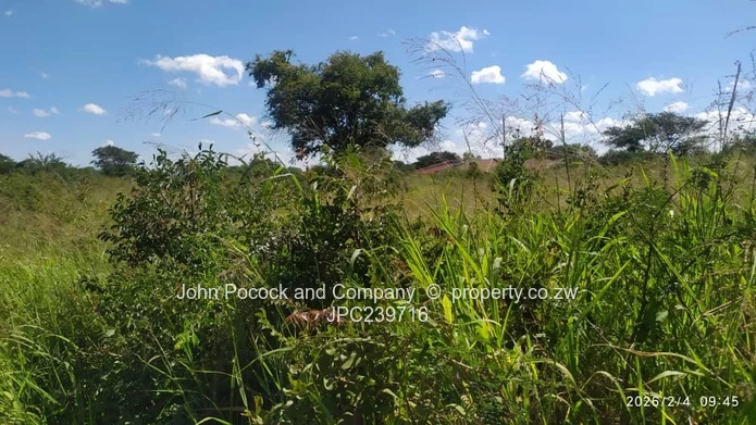 Lochview, Undeveloped Land -Your Canvas Awaits