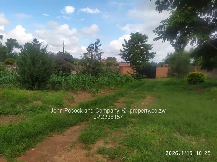 New Build | Space, Light & Investment Potential (Buena Vista)