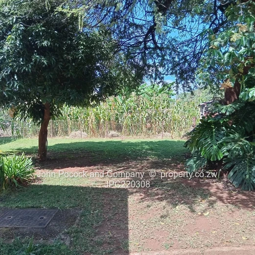 Charming 4 Bedroom Family Home in Morningside!