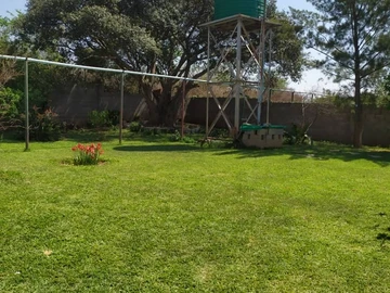 Farm & Agricultural Land