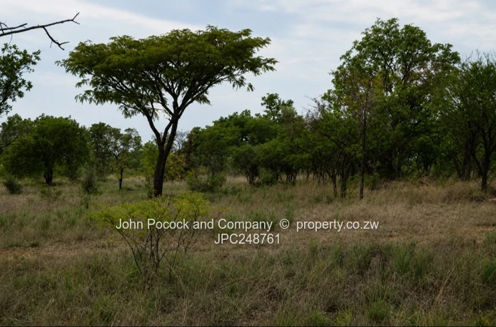 18.9 Acres in Fortunes Gate!