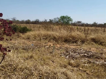 Farm & Agricultural Land