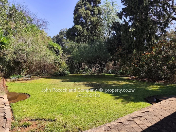 Suburbs Dream Location